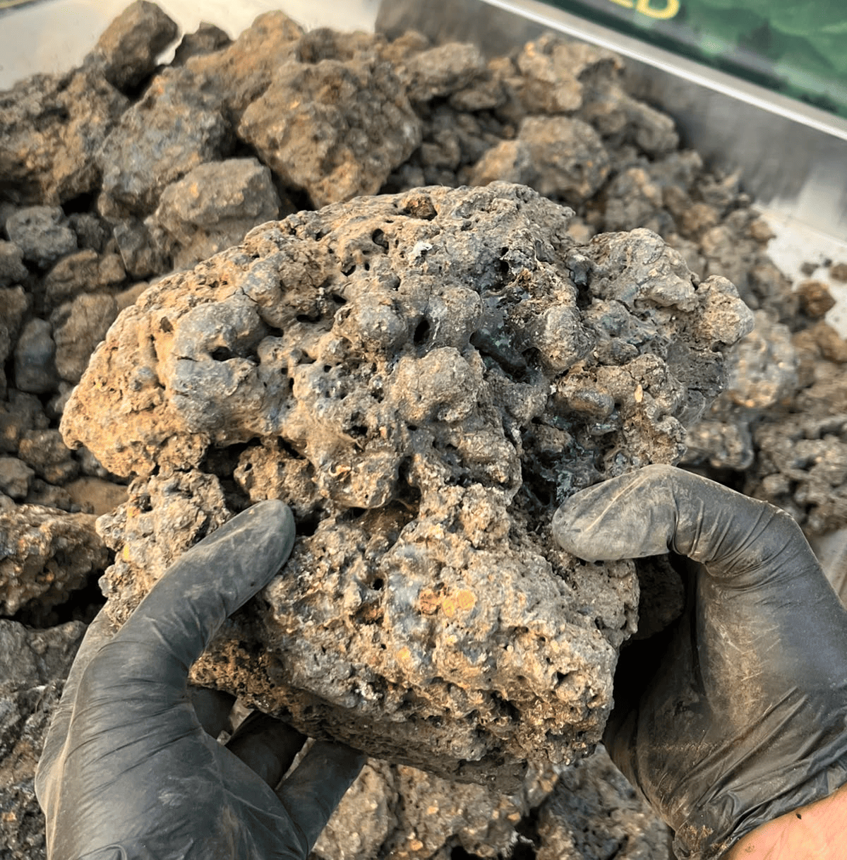 Gold grade shilajit rock from 16,000 to 18,000 feet